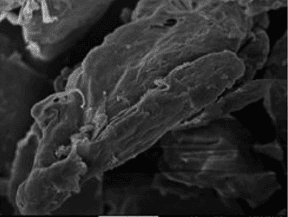 polimlechna kiselina 1 generation 2.jpg