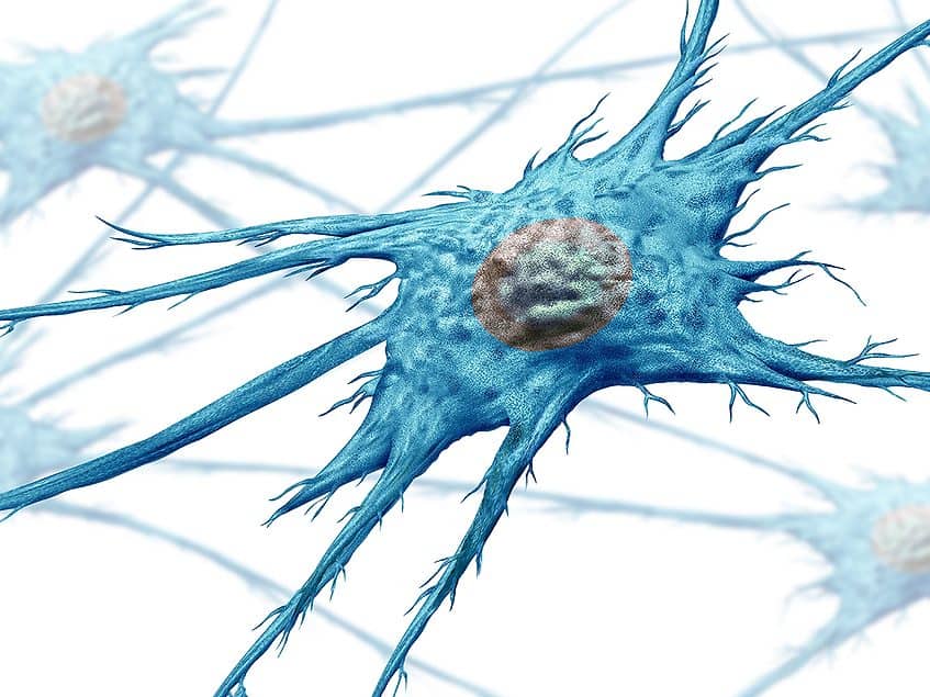 epub Fibroblast cell blue