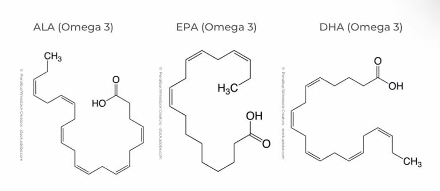 omega 3
